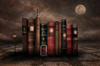 night library Poster och Canvastavla