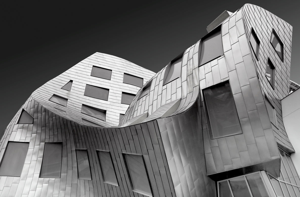 Frank Gehry Iconic Curve Poster och Canvastavla