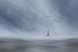 green lighthouse Poster och Canvastavla