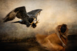 ‘...bound for attack...the fear...’ Poster och Canvastavla