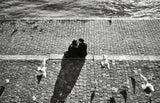 Le baiser Poster och Canvastavla