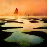Not alone at the beach Poster och Canvastavla