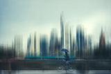 The Weatherman Poster och Canvastavla