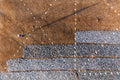 Drying Sardines Poster och Canvastavla