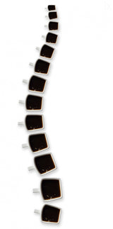 Backbone of coffee Poster och Canvastavla