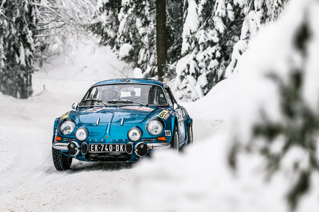 Alpine Poster och Canvastavla