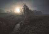 Fogscape - elements Poster och Canvastavla