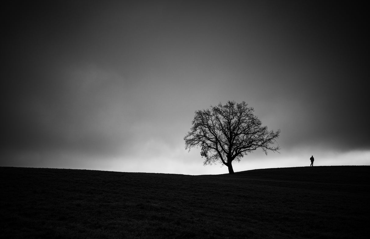 Don't Leave Me Now Poster och Canvastavla