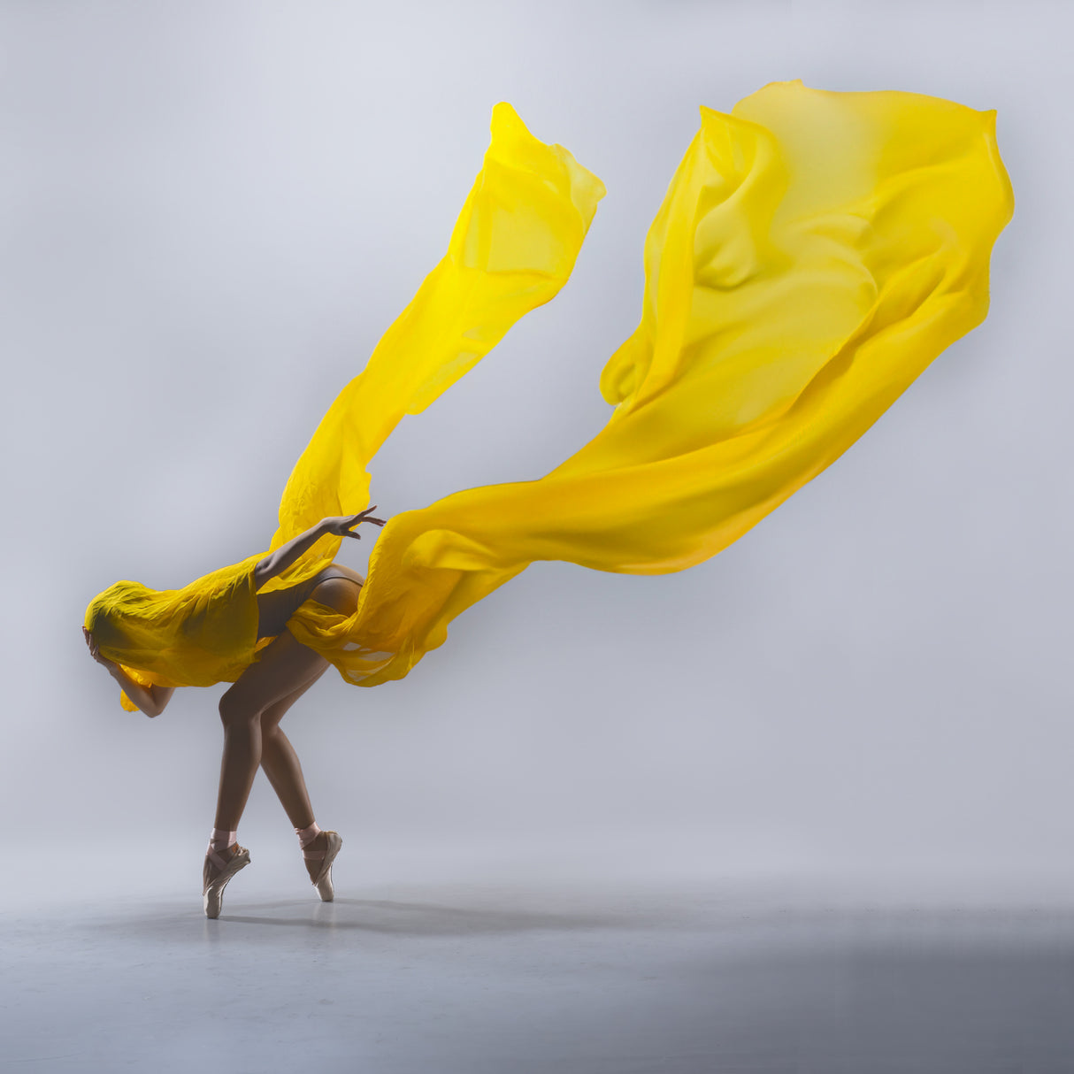 Poster och Canvastavla