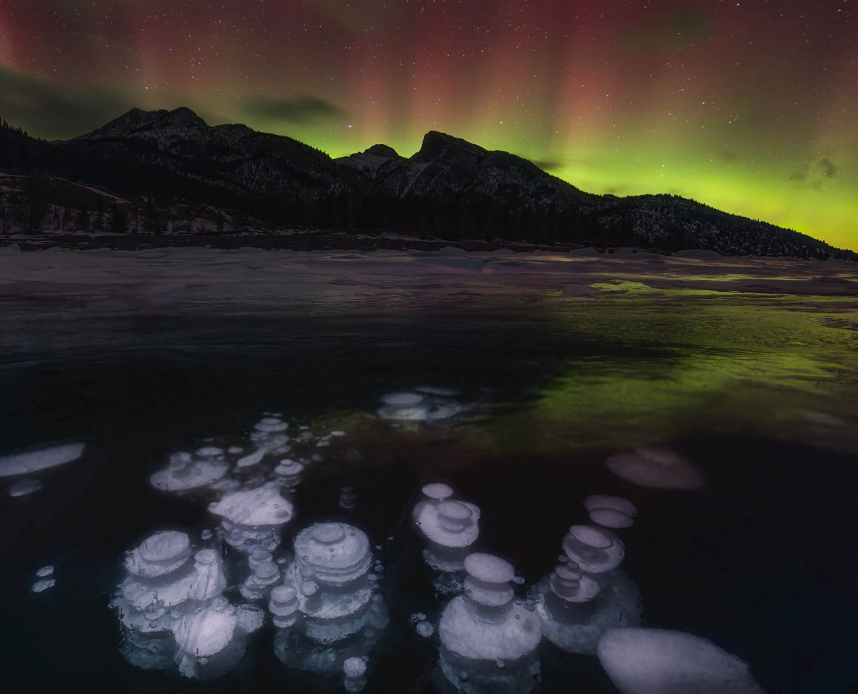 Aurora over Abraham Lake Poster och Canvastavla