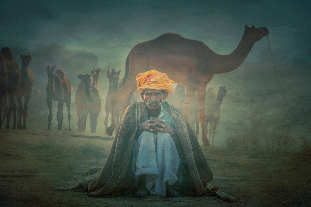 Old Rajasthani man IAAP Poster och Canvastavla