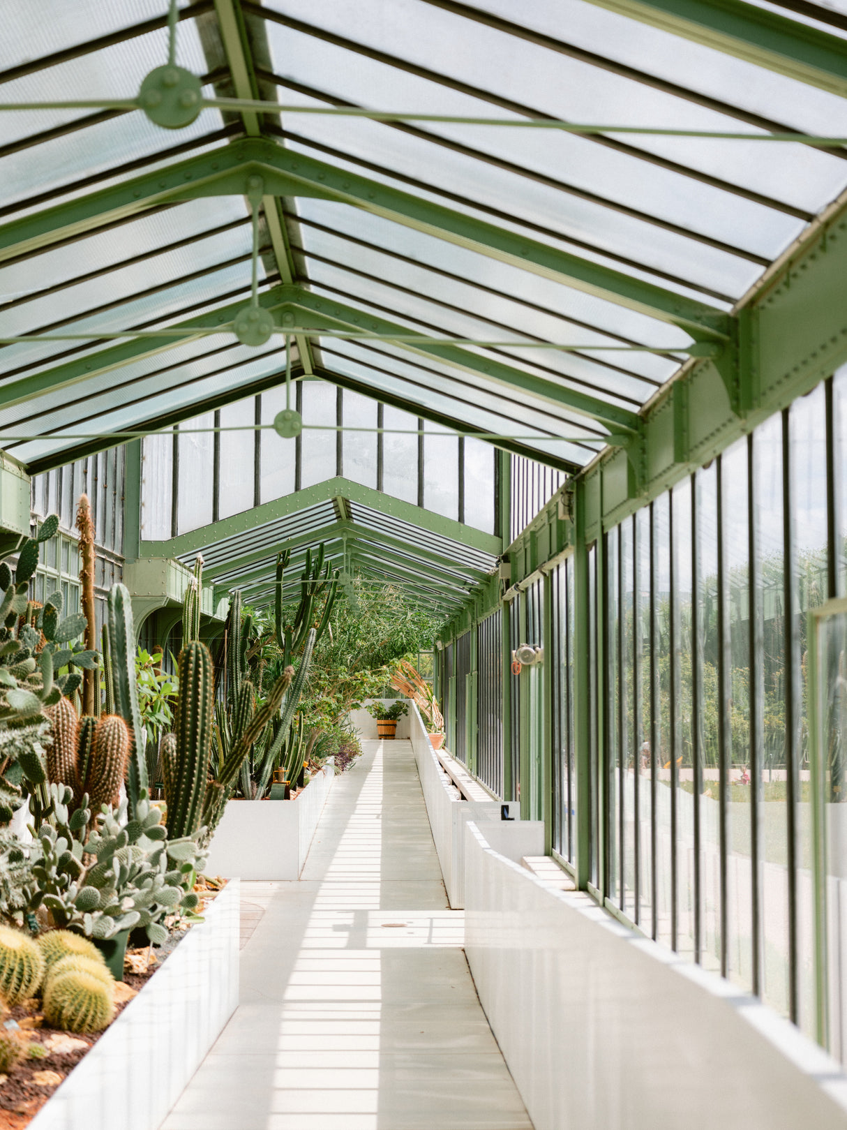 Botanical garden of Paris Poster och Canvastavla
