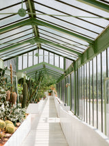 Botanical garden of Paris Poster och Canvastavla