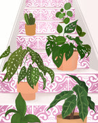 Plants Poster och Canvastavla