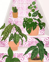Plants Poster och Canvastavla