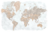 Calista high detail world map Poster och Canvastavla