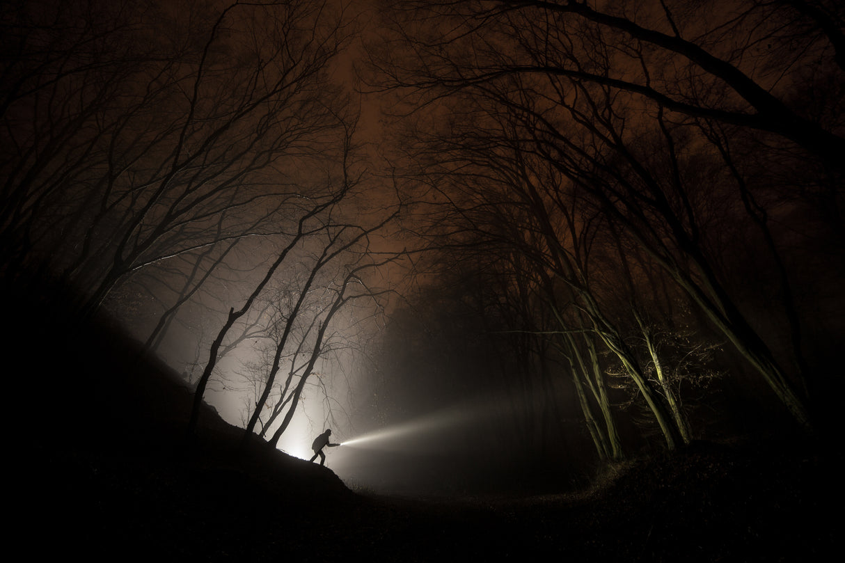 Night explorer Poster och Canvastavla