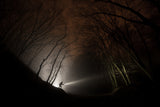 Night explorer Poster och Canvastavla