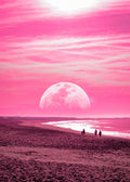 Pink Beach Poster och Canvastavla