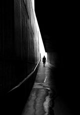 I go where the light takes me Poster och Canvastavla