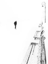 Lost in white Poster och Canvastavla