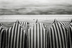 On the beach Poster och Canvastavla