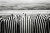 On the beach Poster och Canvastavla