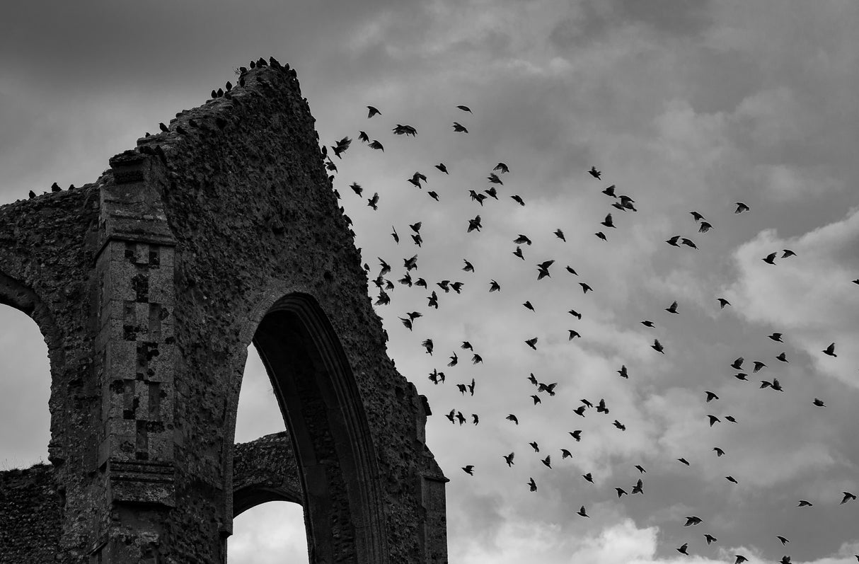 St. Andrew's Church, Covehithe UK Poster och Canvastavla
