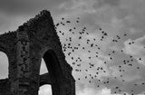 St. Andrew's Church, Covehithe UK Poster och Canvastavla