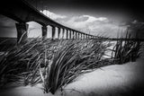 Le pont Poster och Canvastavla