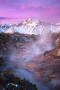 Pink Eastern Sierra Poster och Canvastavla
