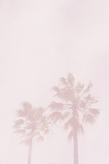 Pink Palms Poster och Canvastavla