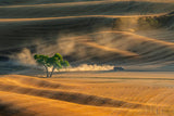 Dust Filled Trail Poster och Canvastavla