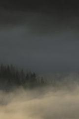 Poster och Canvastavla