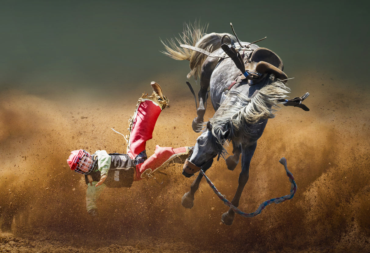 Brave Little Cowboy Poster och Canvastavla