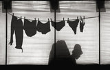 Turtle lady sunbathing in her backyard Poster och Canvastavla