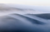A Foggy Winter Morning Poster och Canvastavla