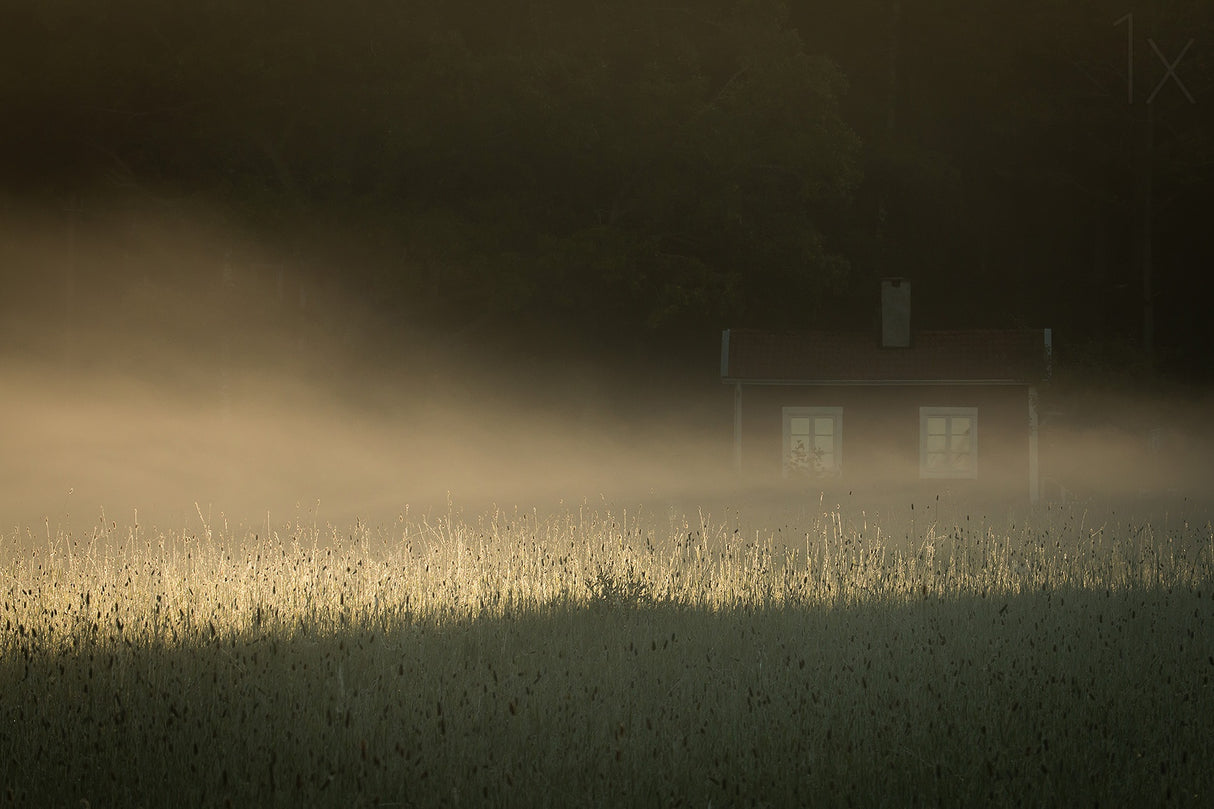 Cottage in the fog Poster och Canvastavla