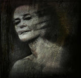 A Quiet Darkness (portrait) Poster och Canvastavla
