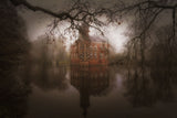 Autumn Dream Poster och Canvastavla