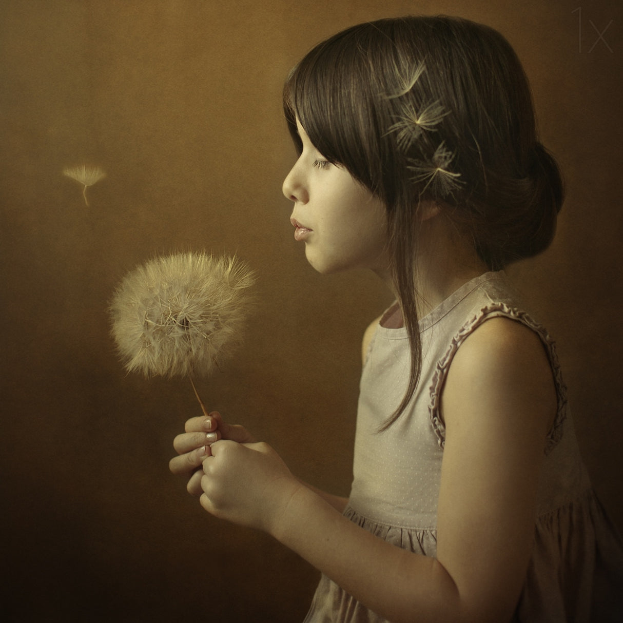 A Dandelion Poem Poster och Canvastavla
