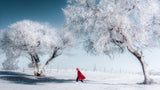 A world of ice and snow Poster och Canvastavla