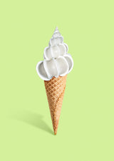 Shell cream Poster och Canvastavla