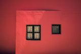 In the pink Poster och Canvastavla