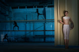 Fencing ground Poster och Canvastavla