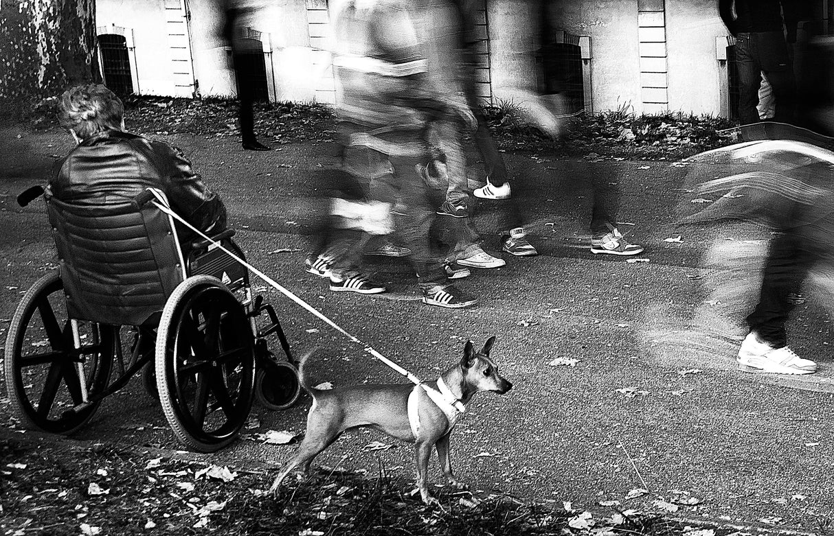 legs Poster och Canvastavla