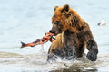 Fishing Poster och Canvastavla