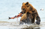 Fishing Poster och Canvastavla