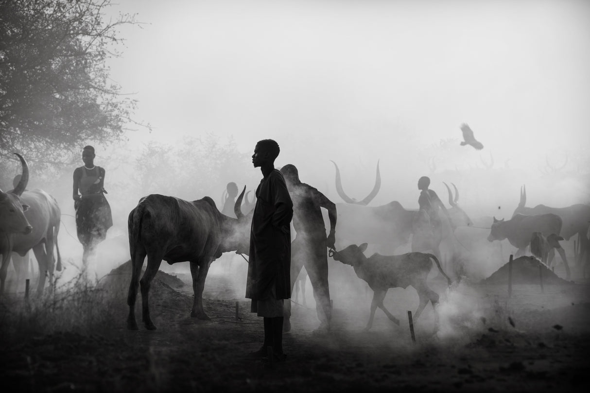 Mundari's Day Job Poster och Canvastavla