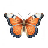 Butterfly 33 Poster och Canvastavla